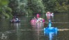 Velká zvířata obsadila Lužnici. Na Benešově mlýně překvapila svatbu