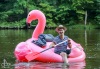 Velká zvířata obsadila Lužnici. Na Benešově mlýně překvapila svatbu