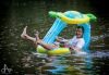 Velká zvířata obsadila Lužnici. Na Benešově mlýně překvapila svatbu