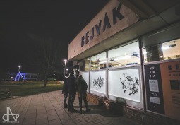 Markéta Hlinovská umístila do výlohy Bejváku velké zajíce 