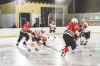 Planou nad Lužnicí ovládl hokej. Winter Classic Hockey Days přinesly podívanou i zábavu
