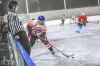 Planou nad Lužnicí ovládl hokej. Winter Classic Hockey Days přinesly podívanou i zábavu