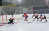 Planou nad Lužnicí ovládl hokej. Winter Classic Hockey Days přinesly podívanou i zábavu
