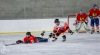 Planou nad Lužnicí ovládl hokej. Winter Classic Hockey Days přinesly podívanou i zábavu