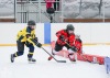 Planou nad Lužnicí ovládl hokej. Winter Classic Hockey Days přinesly podívanou i zábavu