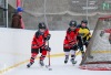 Planou nad Lužnicí ovládl hokej. Winter Classic Hockey Days přinesly podívanou i zábavu