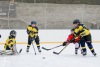 Planou nad Lužnicí ovládl hokej. Winter Classic Hockey Days přinesly podívanou i zábavu