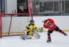 Planou nad Lužnicí ovládl hokej. Winter Classic Hockey Days přinesly podívanou i zábavu