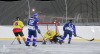 Planou nad Lužnicí ovládl hokej. Winter Classic Hockey Days přinesly podívanou i zábavu