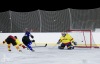 Planou nad Lužnicí ovládl hokej. Winter Classic Hockey Days přinesly podívanou i zábavu