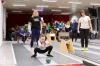 Vánoční hecboj dvojic byl zdravě vyhecovaný. Děti mnohdy měřily síly s dospělými