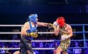Na Noci bojovníků tekl pot a slzy. Boxeři pomáhali dvanáctiletému Matějovi 