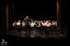 Mladý orchestr Svišti v orchestřišti před Vánocemi zářil