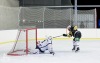 Fotbalové legendy hrály hokej. Turnaj Winter Hockey Days pak ovládli domácí a Jihlavští