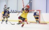 Fotbalové legendy hrály hokej. Turnaj Winter Hockey Days pak ovládli domácí a Jihlavští
