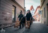 Velikonoční hrkání v Českých Budějovicích navštívily stovky lidí 