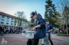 Lampióny, bubny a ohňostroj, který neměl obdoby. Sezimovo Ústí slavilo máj 