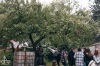 Ohlédnutí za festivalem Transforma. Pestrá dramaturgická linka návštěvníky bavila