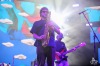 Dojatý Niall Horan, David Guetta, Moderat či české Viah. To byl sobotní Sziget festival