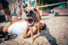 Nebe se nad Downtownem v Táboře smilovalo. Tomáš Slavík kraloval a diváci byli nadšení