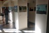 Přes padesát fotografií Šumavy je k vidění v Pěkné u Volar
