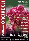 Dracula i masožravé liány. V Jihočeském muzeu začíná výstava orchidejí a masožravek