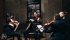 Pavel Bořkovec Quartet připomněl Janáčkovo i Tauského dílo. Po koncertě Plachetky s Havelkou a Melody Makers dojde na překvapení  