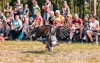 Kozí hrádek ovládli dravci, nad letním kinem to jiskřilo