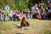Kozí hrádek ovládli dravci, nad letním kinem to jiskřilo