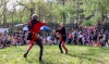 Kozí hrádek ovládli dravci, nad letním kinem to jiskřilo