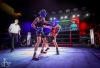 Na jubilejní Noci bojovníků padaly tvrdé rány od Dánů. Lidé pomáhali Nellince   