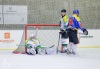 Velkolepý turnaj Winter Hockey Days v Plané ovládli domácí a HC Vítkovice