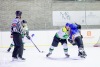 Velkolepý turnaj Winter Hockey Days v Plané ovládli domácí a HC Vítkovice