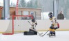 Velkolepý turnaj Winter Hockey Days v Plané ovládli domácí a HC Vítkovice