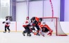 Velkolepý turnaj Winter Hockey Days v Plané ovládli domácí a HC Vítkovice