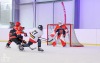 Velkolepý turnaj Winter Hockey Days v Plané ovládli domácí a HC Vítkovice
