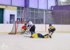 Velkolepý turnaj Winter Hockey Days v Plané ovládli domácí a HC Vítkovice