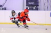 Velkolepý turnaj Winter Hockey Days v Plané ovládli domácí a HC Vítkovice