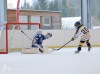 Velkolepý turnaj Winter Hockey Days v Plané ovládli domácí a HC Vítkovice