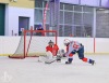 Velkolepý turnaj Winter Hockey Days v Plané ovládli domácí a HC Vítkovice