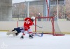 Velkolepý turnaj Winter Hockey Days v Plané ovládli domácí a HC Vítkovice