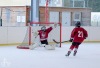 Velkolepý turnaj Winter Hockey Days v Plané ovládli domácí a HC Vítkovice