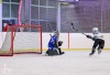 Velkolepý turnaj Winter Hockey Days v Plané ovládli domácí a HC Vítkovice