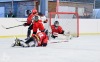 Velkolepý turnaj Winter Hockey Days v Plané ovládli domácí a HC Vítkovice