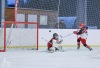 Velkolepý turnaj Winter Hockey Days v Plané ovládli domácí a HC Vítkovice