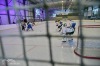 Velkolepý turnaj Winter Hockey Days v Plané ovládli domácí a HC Vítkovice