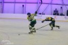 Velkolepý turnaj Winter Hockey Days v Plané ovládli domácí a HC Vítkovice
