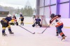 Velkolepý turnaj Winter Hockey Days v Plané ovládli domácí a HC Vítkovice