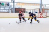 Velkolepý turnaj Winter Hockey Days v Plané ovládli domácí a HC Vítkovice