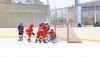 Velkolepý turnaj Winter Hockey Days v Plané ovládli domácí a HC Vítkovice